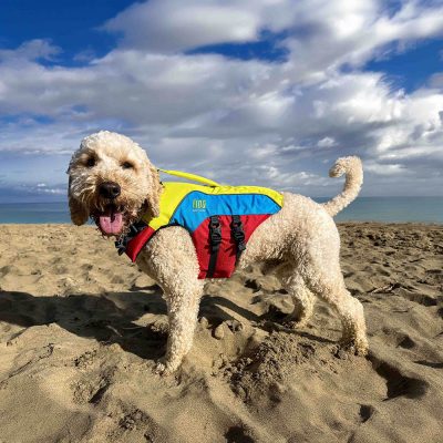 Spinlock Fido Dog Floatation Vest